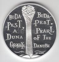 Lebó Ferenc (1960-) 2003. MKB "125 éves Budapest" Ag(0.999) emlékérem (31,1g/42,5mm) dísztokban T:PP