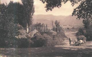 Nis region, peasant huts