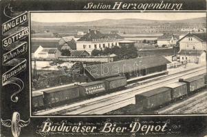 Herzogenburg Bahnhof