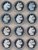 Németország 1993-94. "Német Szövetségi Köztársaság 50 éve" Ag(0.999) emlékérem (20g/40mm) ...