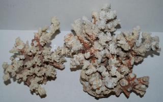 Vegyes tétel: 2db csendes-óceáni korall és 8db háború előtti kiadású, főleg vallási témájú idegen ny...