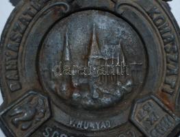 1895. IX. 15-17 Bányászati és Kohászati Congressus Vajdahunyad, emléköntvény