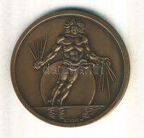 Borsos Miklós (1906-1990) 1980. "Fiziológiai Tudományok XXVIII. Nemzetközi Kongresszusa Budapes...