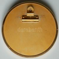 DN Lenin balra néző portréját ábrázoló domborított fém plakett keretben (felakasztható) T:2