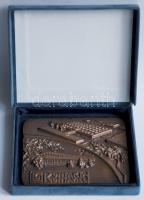 Lantos Györgyi (1953-) 1986. "Kontakta-Kontavill" Br plakett (115x85mm) dísztokban T:2