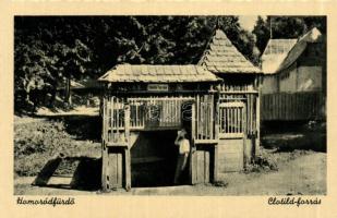 Homoródfürdő Clotild fountain