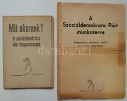 1945 A Szociáldemokrata Párt munkaterve, Mit akarunk? A szociáldemokrácia útja Magyarországon