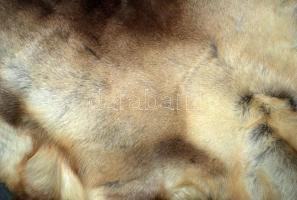 Rénszarvasbőr, 145x90cm