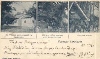 1899 Sárköz Vécsey vadászkastélya, szarvasetetés (EK)