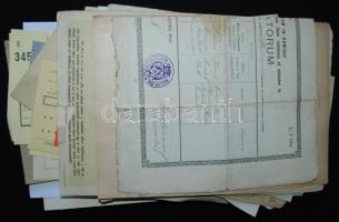 1895-1985 Nagy okmány- és nyomtatványtétel, okmánybélyegekkel, érdekességekkel (visszahonosítási oki...