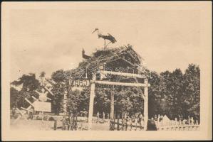 Gödöllő Jamboree 1933 (pinhole)