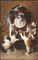 Playing cats s: C. Reichert