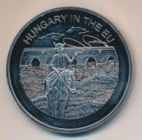 Máltai Lovagrend 2004. 100L "Magyarország az EU-ban" T:PP
Sovereign Order of Malta 2004. 1...