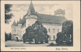 Nagykároly Károlyi castle (EK)