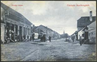 Mezőtelegd Main street Shop of Lindenfeld Dávid, Tailoring (wet damage)