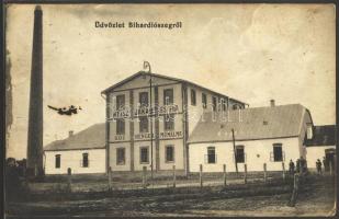 Bihardiószeg Mill of Weisz Jakab and his son (EK)