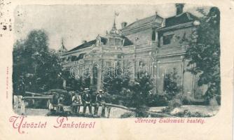 Pankota Schulkowszky castle (EK)