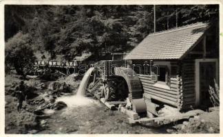 Gyilkos-tói áramfejlesztő / power station (Rb)