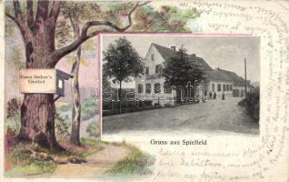 Spielfeld  Restaurant of Franz Stelzer, Emb. (fa)