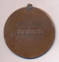 ~1940. "Pest-Pilis-Solt-Kiskun-V.V. Közp. Jár. Levente Egyesülete" Br díjérem T:2