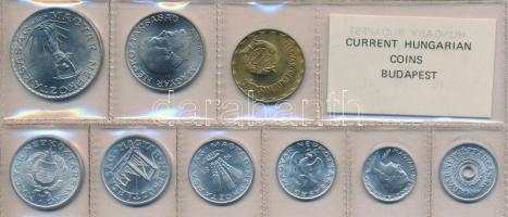 1981. 2f-10Ft 9db klf érmés forgalmi sor fóliatokban T:1