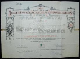 1937 Mérnöki oklevél gr. Teleki Pál és Méhes Zoltán saját kezű aláírásával. Hajtásoknál egy kis lyuk...