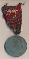 1918. Laeso Militi - Sebesültek Érme cink kitüntetés mellszalaggal. Szign.: R. Placht T:2-
Hungary 1...