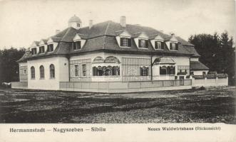 Nagyszeben, forester house, viewed from back