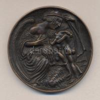 Zutt Richard (1887-1938) 1915. "Hadsegélyező Hivatal az Árváknak" bronz emlékérem (69mm) T...