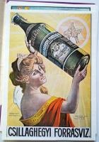 Századeleji magyar kereskedelmi plakátok, összesen: 14 db