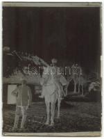 1914-1918 Huszárok a fronton, üvegnegatív-sorozat /
Hussars on the front, a set of glass negatives