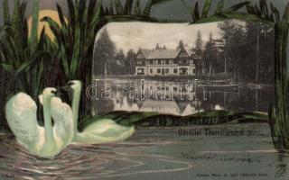 Thurzófüred Thurzó villa litho