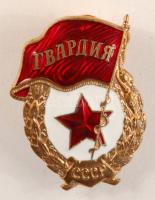 Szovjetunió ~II. Világháború Gárda jelvény T:1 Soviet Union ~World War II Guards badge C:AU