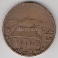 Tóth Sándor (1933-) 1986. "MÉE Nyíregyháza / László király - Szabolcsi Földvár" Br emlékér...