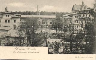 Dresden, Weisser Hirsch, Lahmann sanatorium