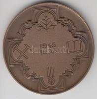 Fritz Mihály (1947-) 1982. "Zirc" Br emlékérem (42,5mm) T:1