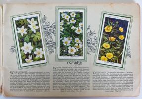 cca 1930 Will's litho cigarettakártya gyűjtemény: VAdvirágok. Komplett gyűjtőalbum 60 képpel  /...