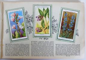 cca 1930 Will's litho cigarettakártya gyűjtemény: VAdvirágok. Komplett gyűjtőalbum 60 képpel  /...