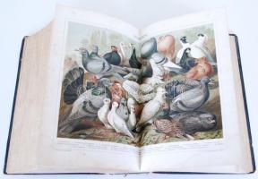 A Pallas nagy lexikona 7. kötet. Bp., 1894. Számos litho képpel. Aranyozott félbőr kötésben