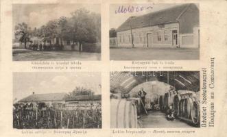 Szokolovác County Hall, school, Wine cellar of Lukics (wet damage)