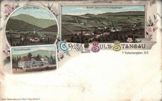 1898 Sulz Stangau sanatorium litho (fa)