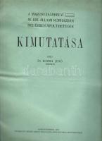 1913 A Marosvásárhelyi M. Kir Állami Kórházban 1912. évben ápolt betegek kimutatása; Benkő László nyomdája