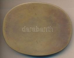 DN Várpalotai templomot ábrázoló Br plakett T:2