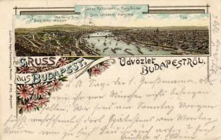 1896! Budapest Litho