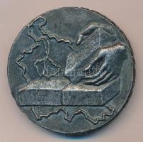 Csíkszentmihályi Róbert (1940-) 1970. "Pest Megyéért - 1970-ben alapította a megye tanácsa"...