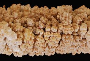 Cseppkő / 
Stalactite, 48cm