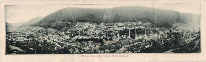 Bad Wildbad panorama card (EB)