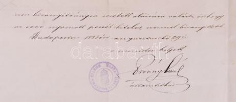 1883 Madách Károly Nógrád-megyei alispán, Madách Imre testvérének aláírása hivatalos iraton a megye ...