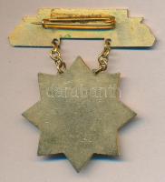 ~1960. "Kiváló Dolgozó" nyolcágú csillag aranyozott zománcozott kitüntetés dísztokban T:1-
