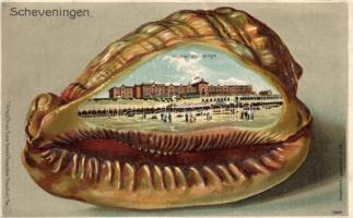 Scheveningen shell Emb. litho